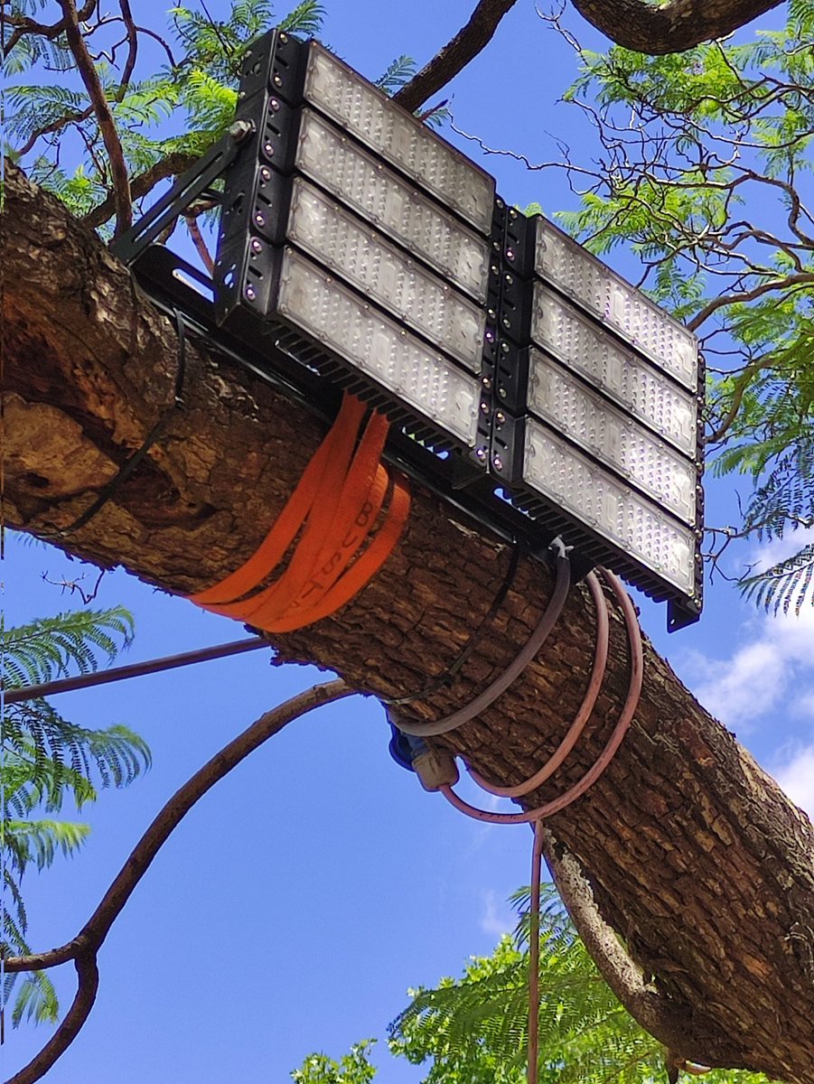 Situación de ayer en Plaza Seeber. Árboles cubiertos con trapos y lastimados con clavos 17. Algunos tienen CLAVADAS luces. El que estaba cubierto de color partidario fue liberado. Le quedaron agujeros. De uno salía resina. Los trapos cubrían los muñones de mutilación. +