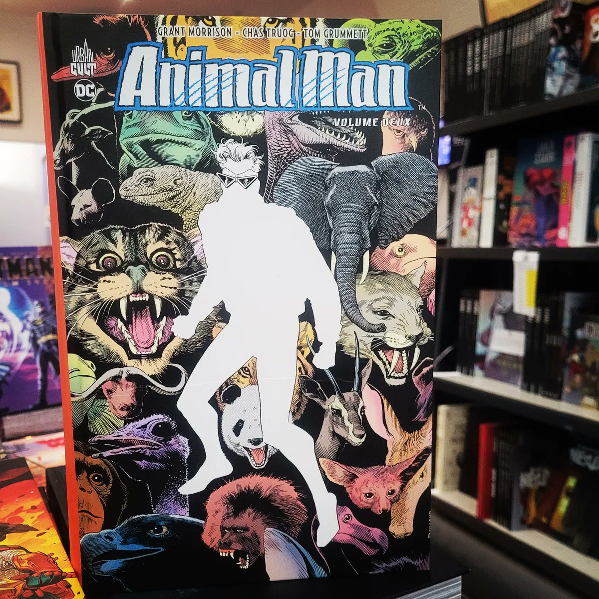 Le Comics Corner tweet media