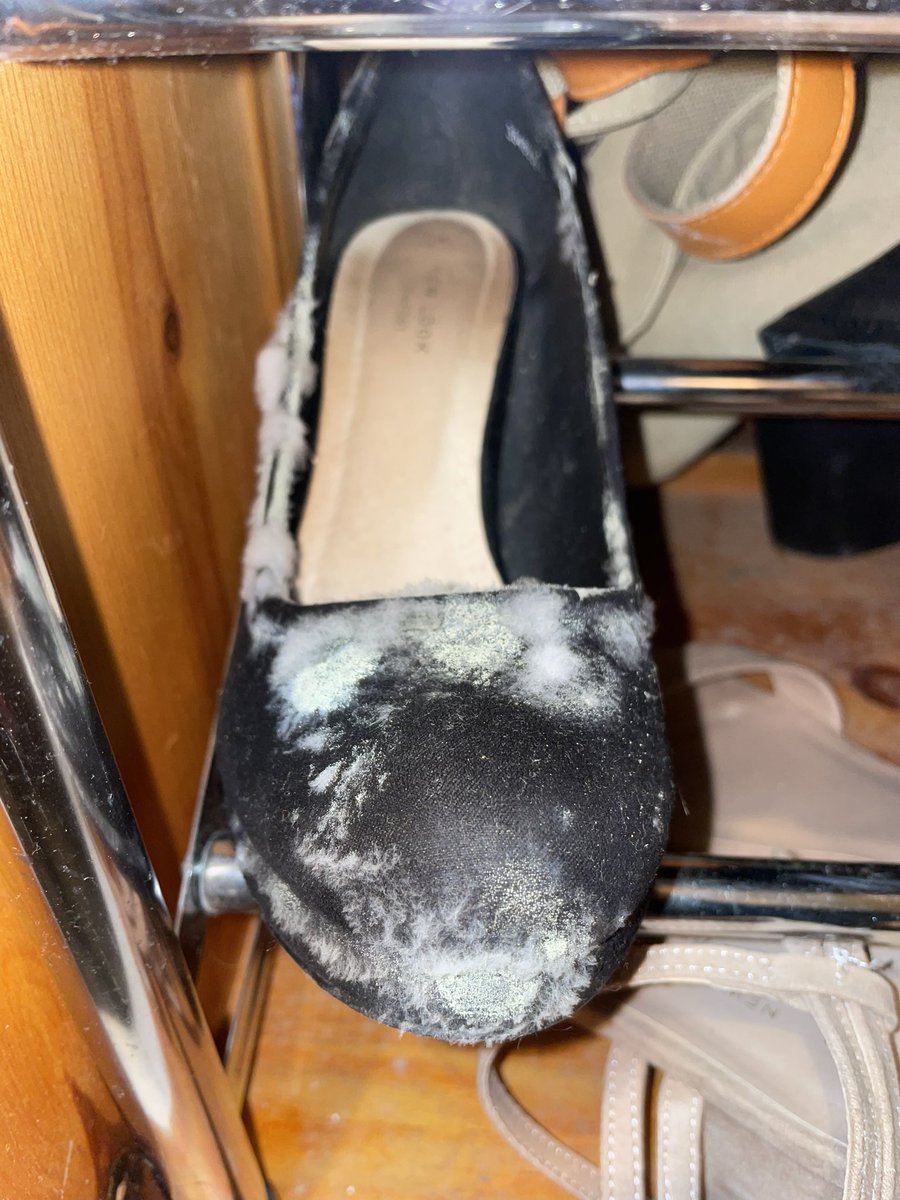 Devinecath's tweet photo. A leaking roof, damp in every room and now this! No choice but to move. And so close to Christmas! @wfcouncil https://t.co/9LLve0tdwK