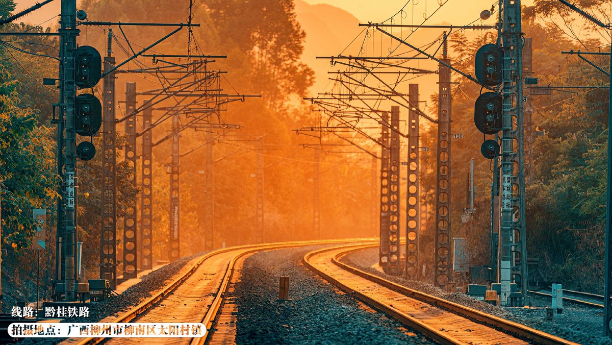 ChinaRailways's tweet photo. What colors does autumn bring to southern China? 
It brings red. The evening crimson sunset colors the trees and red maple leaves cover the ground, bringing warmth and peace of mind. #ColorfulAutumn #highspeed https://t.co/4giK4qudE0