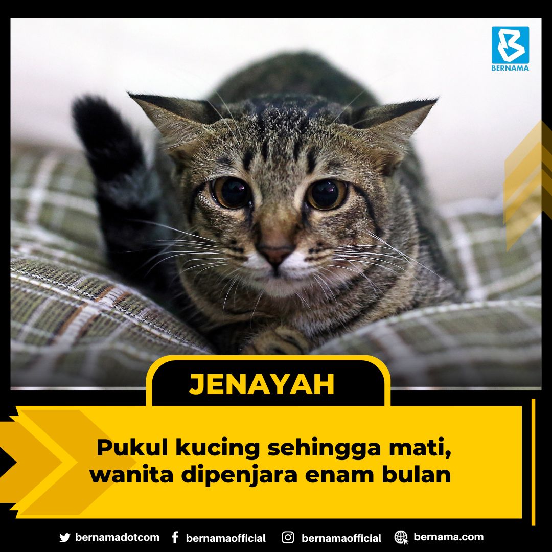 bernamadotcom's tweet photo. Hakim Azrul Darus menjatuhkan hukuman itu ke atas peniaga pisang goreng iaitu Hotimah, 60, selepas dia mengaku melakukan kesalahan tersebut di sebuah kedai tidak bernombor di Serdang Jaya, Seri Kembangan pada 7.46 pagi 20 Ogos lepas.

https://t.co/GGWgvJAXd7 https://t.co/C5QdLJBtn3