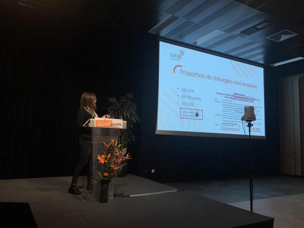 Chir Kc endomètre discussion laparotomie vs cœlioscopie vs robot / quid du geste sur ggls suivant risque ? Pr Fabrice Lecuru <a href="/institut_curie/">Institut Curie</a> et Pr Lobna Ouldamer données base <a href="/FRANCOGYN1/">FRANCOGYN</a>