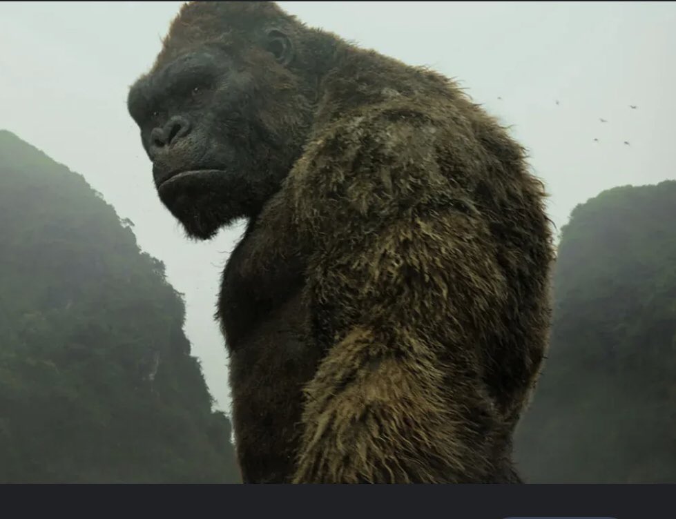 How my children see me whilst protecting them. I’m a giant that won’t allow anything to upset them.