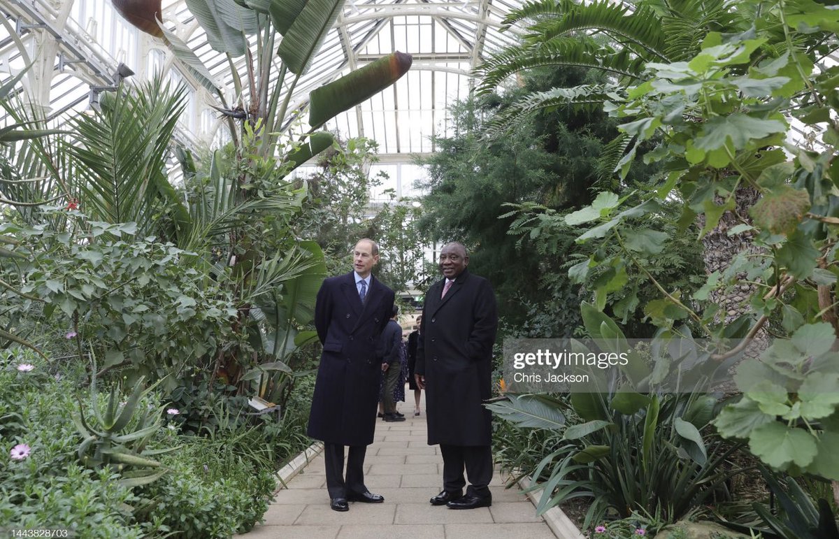 ChrisJack_Getty's tweet photo. Prince Edward, Earl of Wessex and South African President Cyril Ramaphosa enjoy the delights of the Temperate House at the @kewgardens this morning as the South Africa State visit continues https://t.co/4WCuC4ShM8