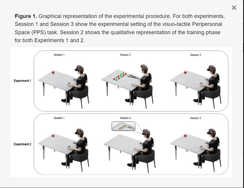 Brain Sciences MDPI (@brainsci_mdpi) on Twitter photo #mdpibrainsci The Remapping of Peripersonal Space in a Real but Not in a Virtual Environment
mdpi.com/2076-3425/12/9…
<a href="/MDPIOpenAccess/">MDPI</a> <a href="/MediPharma_MDPI/">MDPI Medicine & Pharmacology</a> <a href="/MDPISocialsci/">Social Sciences, Arts and Humanities MDPI</a> @Scilit_MDPI
#neuroscience #brain #MultisensoryIntegration #VirtualReality #plasticity #neuroplasticity #mdpibrainsci The Remapping of Peripersonal Space in a Real but Not in a Virtual Environment
mdpi.com/2076-3425/12/9…
<a href="/MDPIOpenAccess/">MDPI</a> <a href="/MediPharma_MDPI/">MDPI Medicine & Pharmacology</a> <a href="/MDPISocialsci/">Social Sciences, Arts and Humanities MDPI</a> @Scilit_MDPI
#neuroscience #brain #MultisensoryIntegration #VirtualReality #plasticity #neuroplasticity