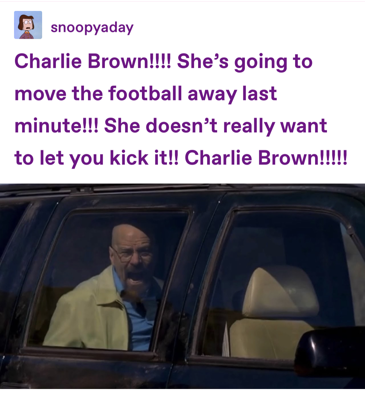 tumblr dot com the website and app on Twitter "gonna get bamboozled