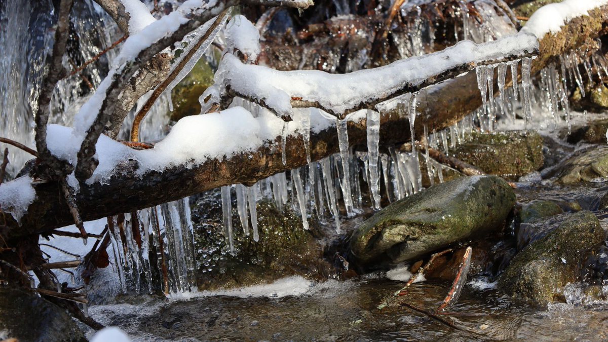 The streams on the preserve are starting to freeze up!