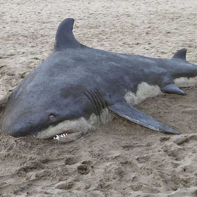 'Shark' A sand sculpture by Spanish artist, Andoni Bastarrika #sculpture #sand