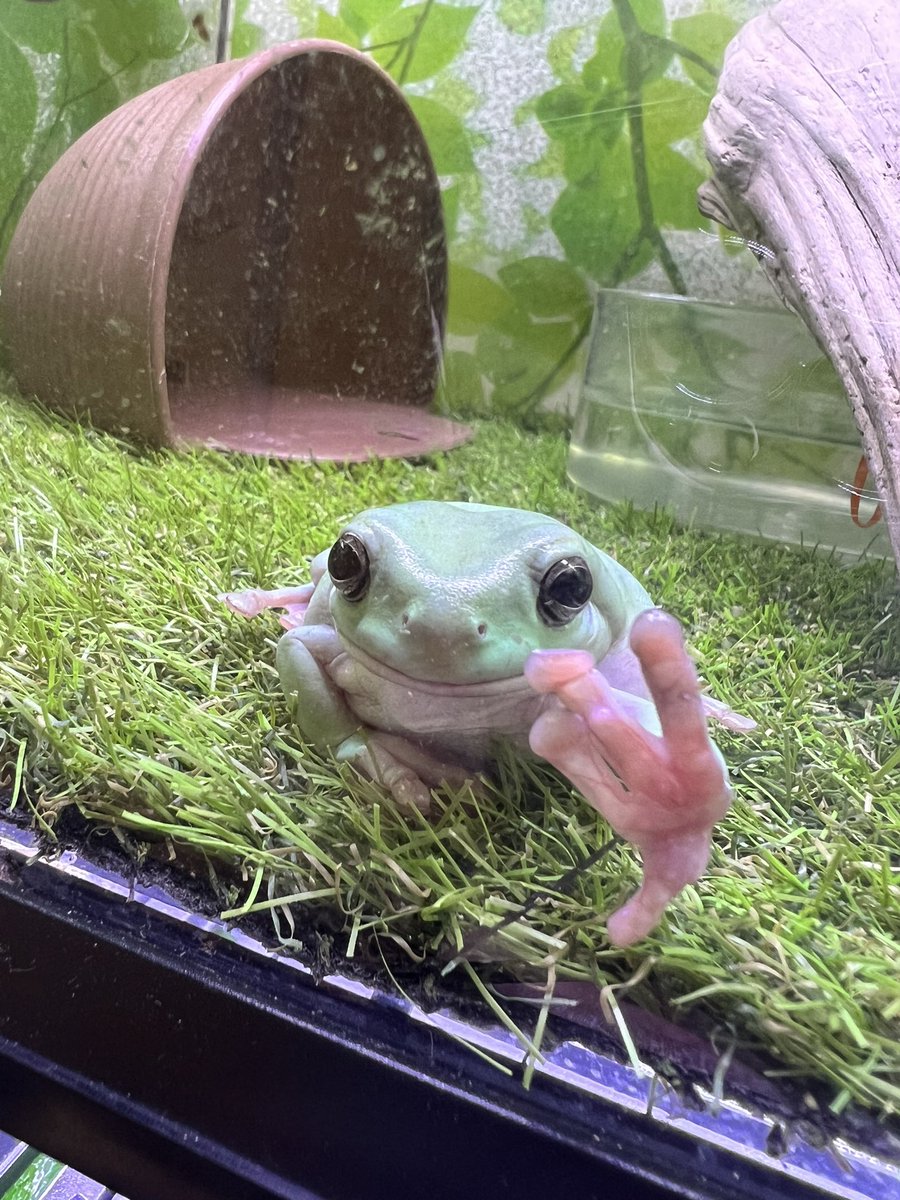 壁ドンはもう古いん？