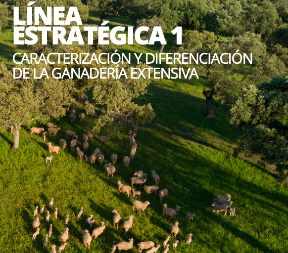 #1. Diferenciación y caracterización de los modelos productivos es necesaria para
-la particularización de políticas públicas como la #PAC
-que lxs consumidorxs tomen decisiones

Es una línea clave de la propuesta Estrategia Estatal de #GanaderíaExtensiva👉bit.ly/3VbQRV8