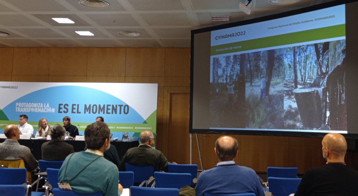 forestalesponfe's tweet image. Sabías que puedes comer frambuesas ecológicas cultivadas en Tabuyo del Monte #leonesp? Alejandro García de la coop Pinaster nos lo ha contado en #conama

Además #pinaster diversifica con la resina y la micología

Un ejemplo de qué después de los #iiff puede haber vida #iftabuyo