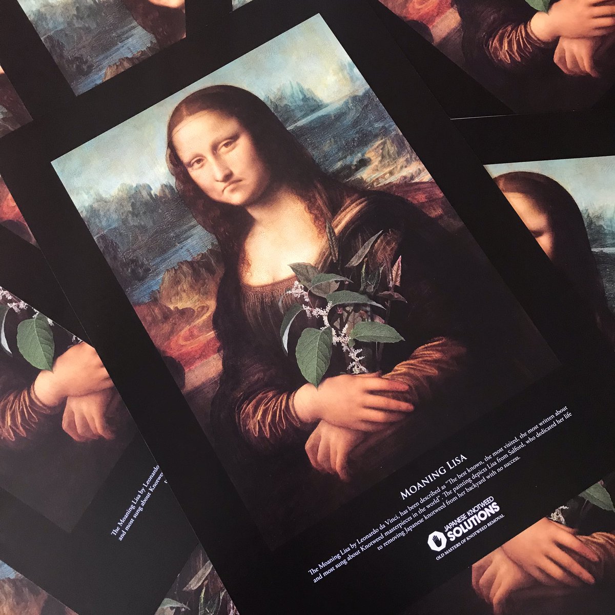 JKSLtd's tweet image. We have lots of these beauts to give away, who wants one? #moaninglisa #invasivespecies