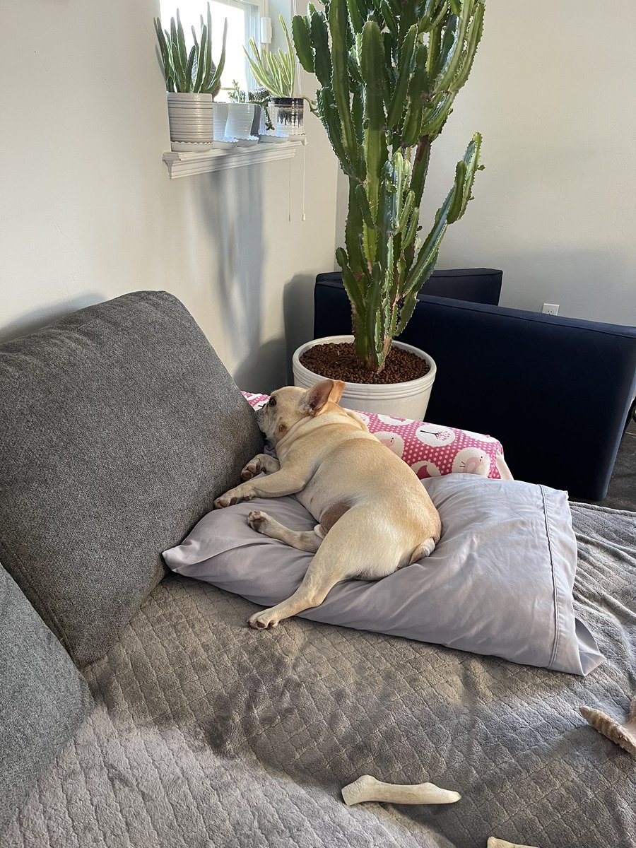 Manny (@mannywedges) on Twitter photo 