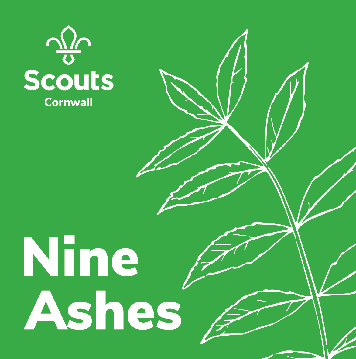 Cornwall Scouts tweet media