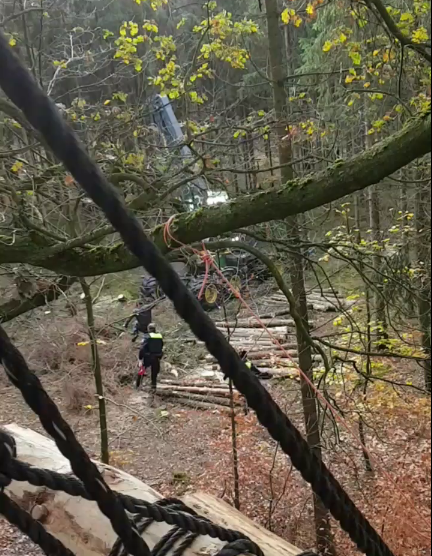 LuetziTicker22's tweet photo. [23.11.][#Waldi45] 📢 Rodung im Waldi45

Cops sind im Waldi45 (A33 Nord) bei Osnabrück, um die Arbeiten von 2 Harvestern zu beschützen. Kommt in den Wald und lasst uns diesen verteidigen!!
📌 https://t.co/K0OK3MxFck
ℹ️ https://t.co/e25CZx4hfK
@Waldi45Bleibt https://t.co/iFeVkEje95