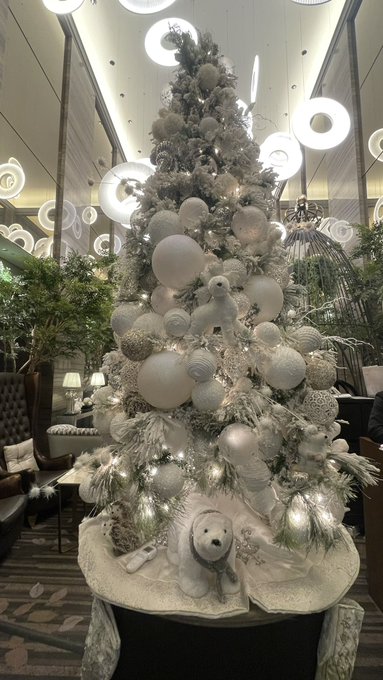 今日のランチのお店、インテリアがおしゃれすぎた…中でもステキだったのが、ぬいぐるみのクリスマスツリー白で統一されてるので大人可愛い。天才か 