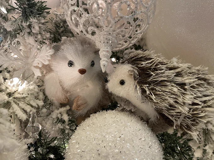 今日のランチのお店、インテリアがおしゃれすぎた…中でもステキだったのが、ぬいぐるみのクリスマスツリー白で統一されてるので大人可愛い。天才か 