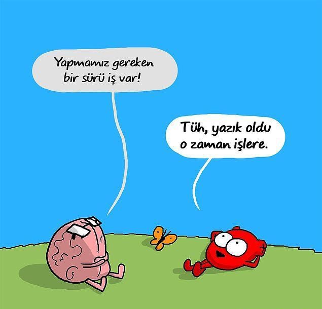 akıl ve kalp arasında (@hearttbrain) on Twitter photo 