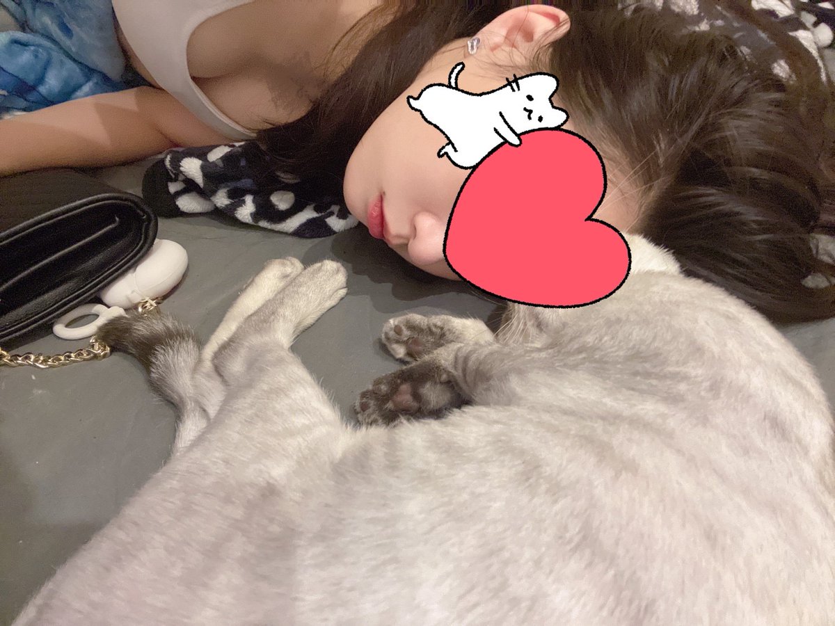 現在應徵聖誕節的另一半 會不會太早🫠🫠 https://t.co/8DawZ3N7zq