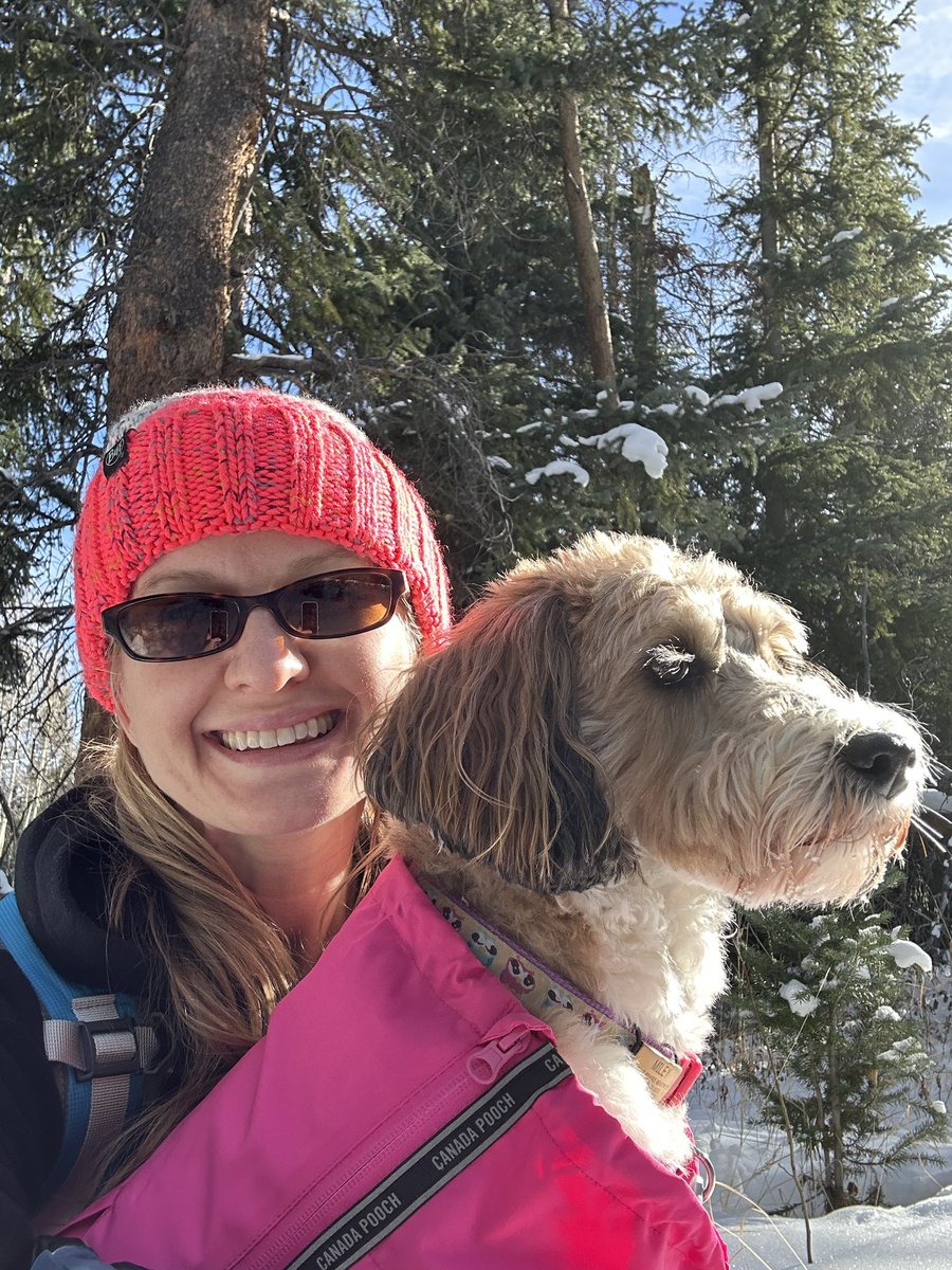 ktlegget's tweet photo. The dogs helped us go cut down this year’s Christmas tree 😊 https://t.co/CHLBdXNhil