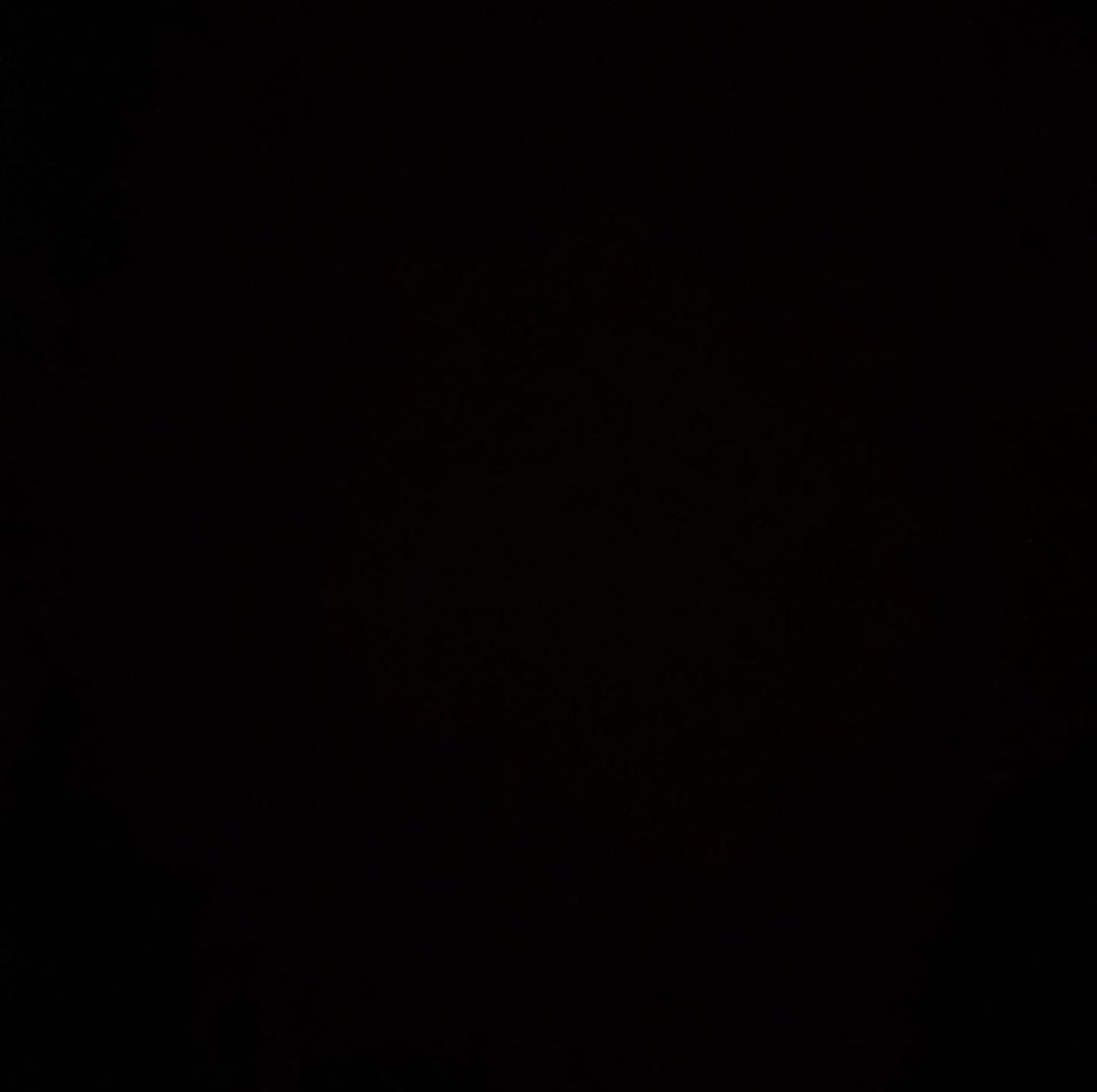 Dr Nadia Nadim tweet media