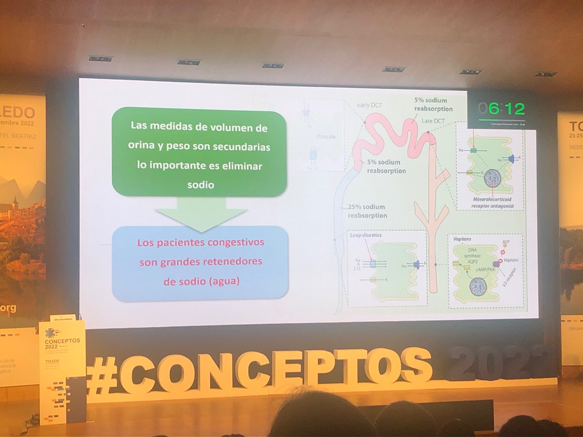 TejeraMg's tweet image. Sodio en orina e insuficiencia cardiaca en urgencias. Gran exposición de @JavierJacob1 @LlorensPere 
Sodio alto posibilidad de manejo ambulatorio