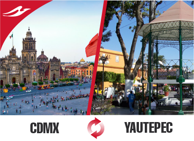 Pullman de Morelos tweet media