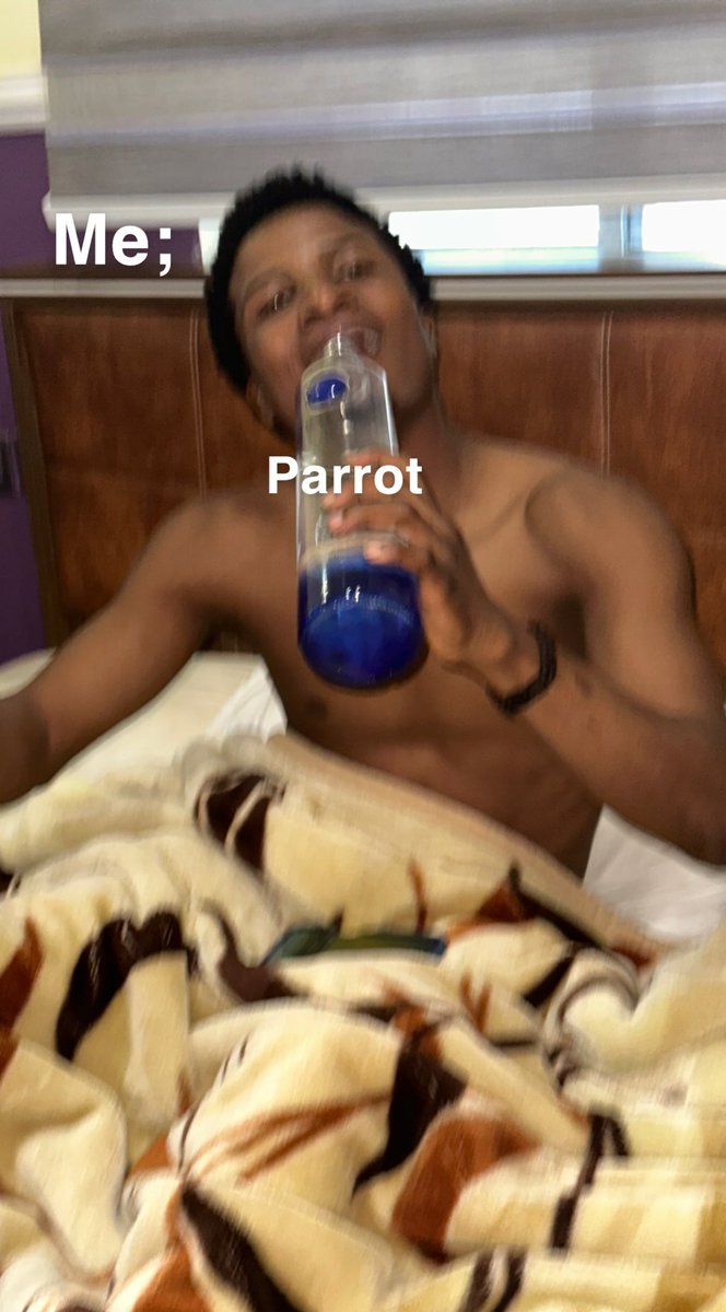 Haryor272's tweet photo. Don’t let parrot feed you😂 https://t.co/TkI7tsdcpg