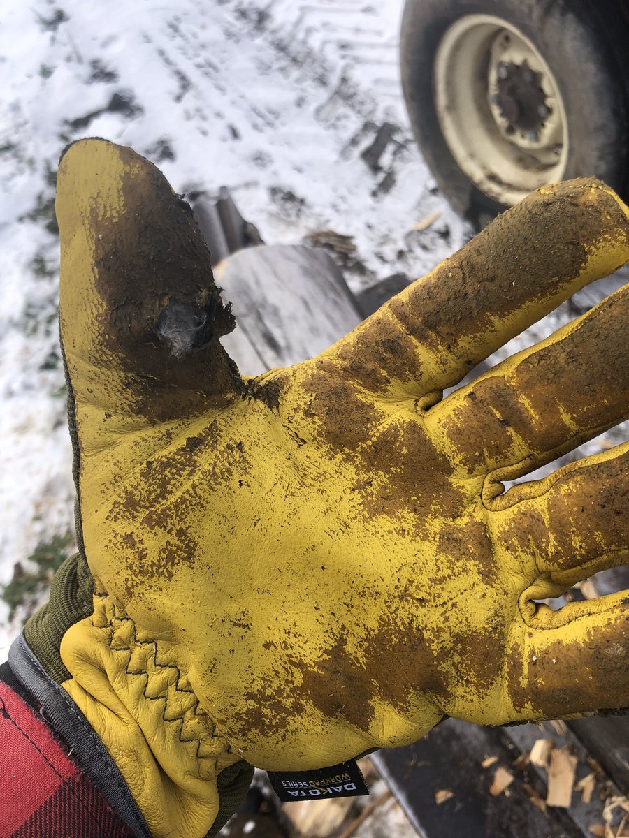 Murrayholm tweet media