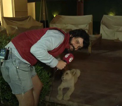 meltedvideos's tweet photo. “o defante vai ser preso no qatar”

realidade: dando rolê na casa dos shakes brincando com um leão chamado SIMBA 🦁 #cazenacopa https://t.co/gxtCirJfnm