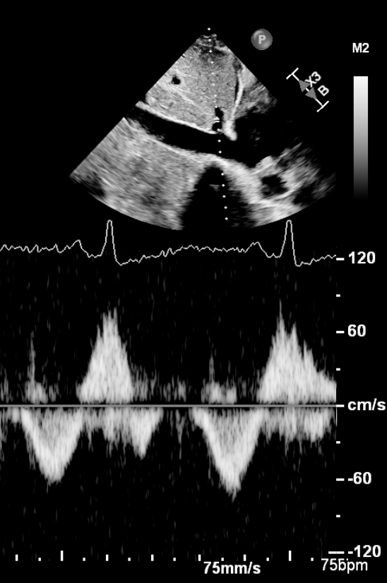 David T Linker tweet media