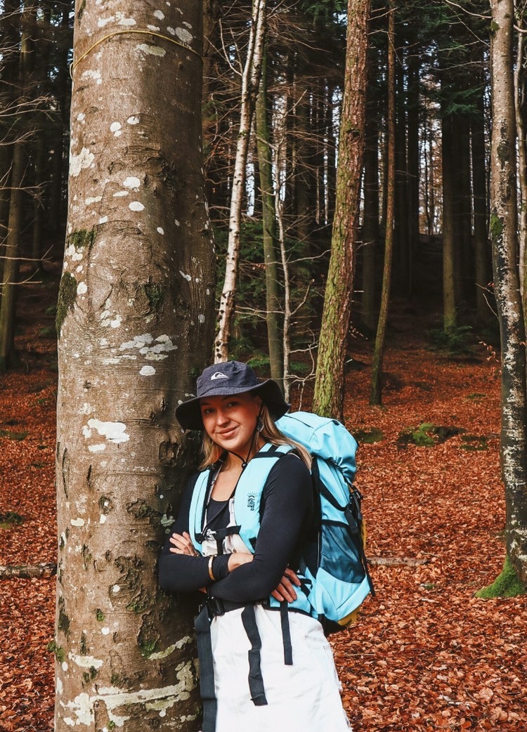 SunDrift tweet media