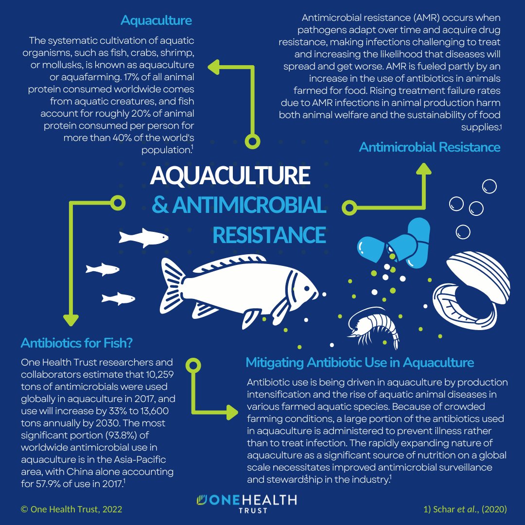 OneHealthTrust's tweet photo. For World Antimicrobial Resistance Awareness Week #WAAW2022, listen to OHT's @thvanboeckel on our OWOH #podcast talk about how #aquaculture might be helping drive the rise of drug-resistant #superbugs worldwide.

👂here:
https://t.co/gJN0TZNfr2
#AMR #SOSAMR #FightAMR #fishfarm https://t.co/ZAjqWuAM3t