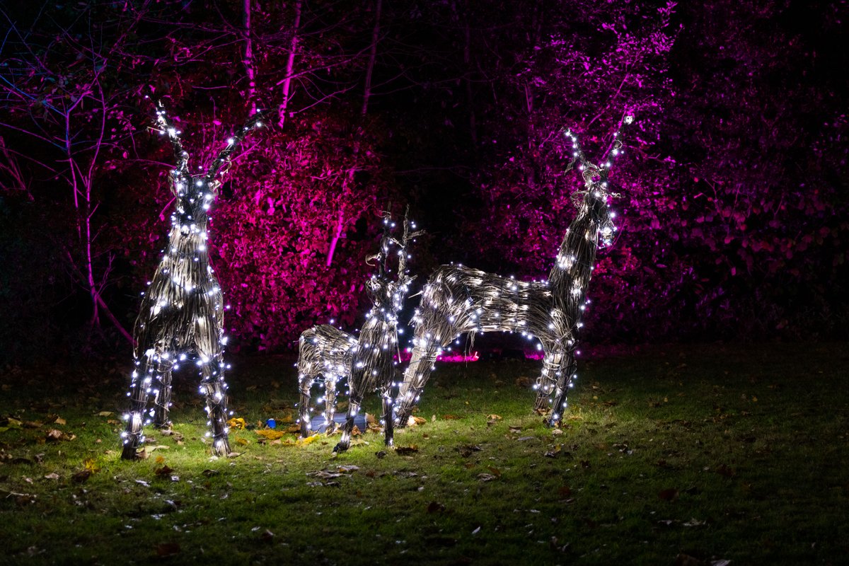 Royal_Greenwich's tweet photo. Our elves are busy turning Well Hall Pleasaunce into a winter wonderland for Sparkle in the Park! 🔨❄️ 

We can’t wait to see ticket holders exploring our glittering light features made possible by @bettergreenwich🎅✨ 

https://t.co/00eaXZURpC https://t.co/XDbyu3NveU