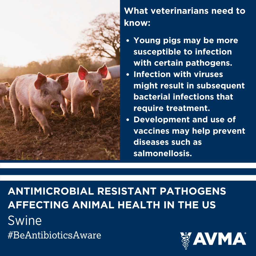 Tweet by AVMA (American Veterinary Medical Association)
