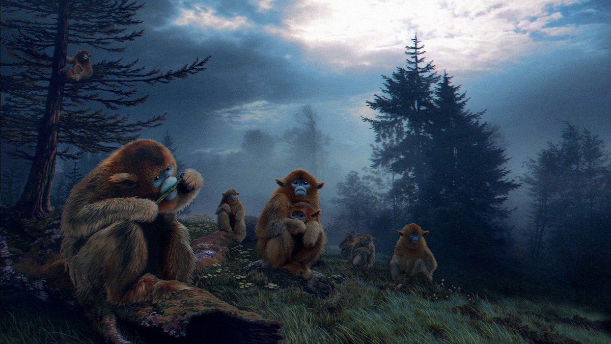 A24 BRASIL on Twitter "🚨 UM FILME SOBRE OS MISTÉRIOS DA COMUNICAÇÃO