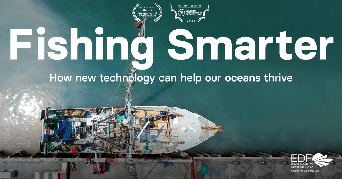 EDFOceans's tweet photo. Our documentary brings the story of modern #technology and its ability to revolutionize #fisheries to the screen. 

Watch “Fishing Smarter” to discover the potential of tech to help secure a healthy #oceans future. https://t.co/A0WLt4ZiK0 https://t.co/CKWmewFDvF