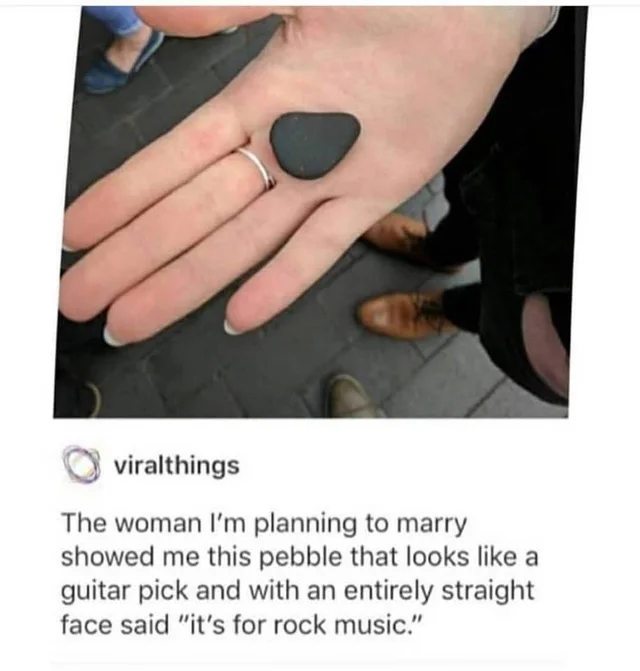 WholesomeMeme's tweet image. 