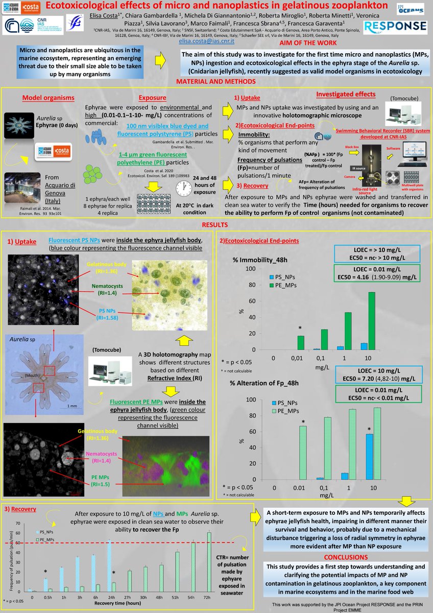 Response_JPIO's tweet photo. RESPONSE researcher @CNRsocial_  Elisa Costa's  #MICRO2022 poster presentation 'Ecotoxicological Effects of Micro and Nanoplastics in Gelatinous Zooplankton' has been added to our project website! 

Click on the link below to learn more 👩‍🔬👨‍🔬

🌐https://t.co/cFBG8Ilc9j https://t.co/9rIIJkddxD