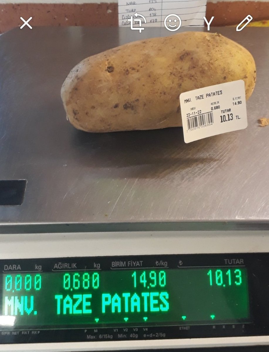 1 patates 10tl
