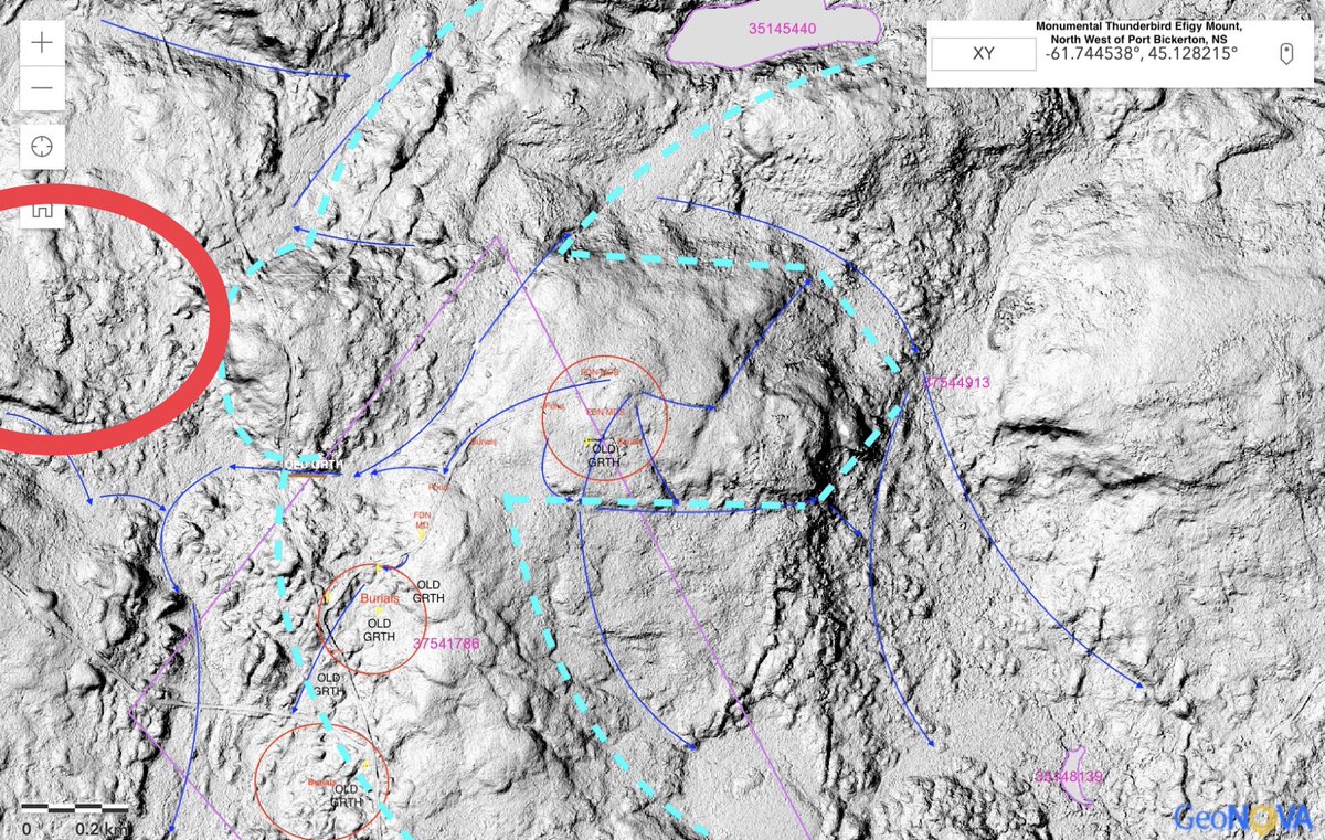 @PauletteSteeves SO true. Been doing archeoecology fieldwork in Nova Scotia on "Crown" Land a couple years. Now using LIDAR to help interpret. Check out monumental Thunderbird Effigy Mound up for clearcut. Red circle has head and beak. Blue is body. Scale bottom left corner. Trail trees eveywhere