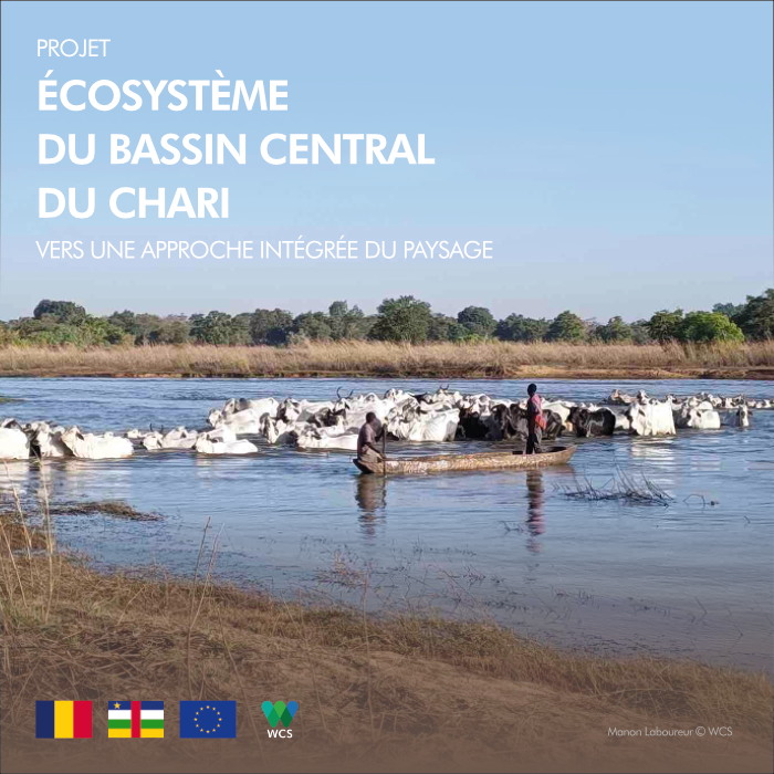 The #BCChari project applies the #Landscape Integrated Management approach. By improving local governance and land use, communities can boost #climatechange resilience and support #conservation efforts. Learn more: bit.ly/3OznObR
#EU in Chad <a href="/UEenRCA/">UE en Centrafrique</a>