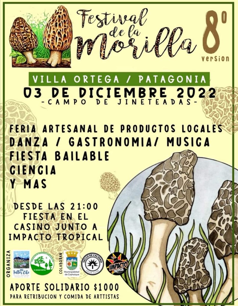 alexpatagonia's tweet photo. 8va versión del #festivaldelamorilla en #villaortega
🌱🍄🍻🌳🏵️
#regiondeaysen #morilla #culturalocal #patagonia https://t.co/yCtdYWW1TZ