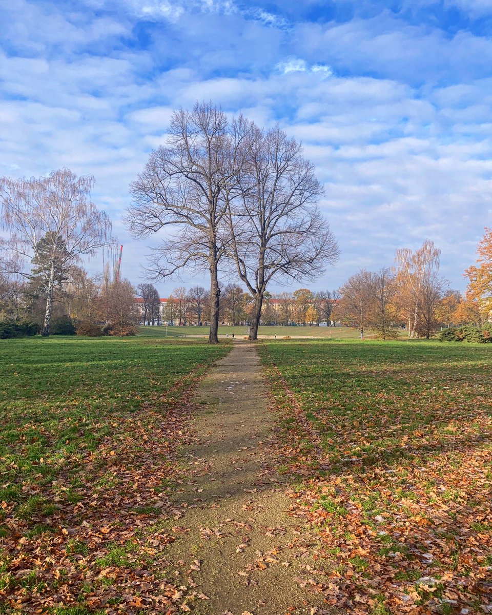 slowberlin's tweet photo. And then it was autumn again… #berlin #runningberlin https://t.co/Tjrr93vVQ7