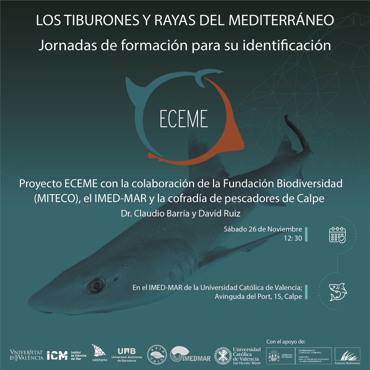 ProyectoEceme's tweet photo. Este sábado estaremos en el puerto de Calpe📍 para hablar sobre la identificación de especies protegidas de tiburones y rayas, así como de los resultados de nuestro proyecto 🦈

Gracias al apoyo de la cofradía de pescadores de Calpe, al @ImedmarUCV y a la @FBiodiversidad https://t.co/hTSyL1ehjT