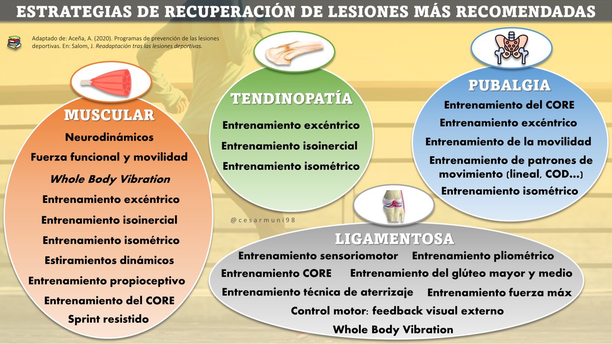cesarmuni98's tweet photo. ❗️READAPTACIÓN DE LESIONES❗️

🤔¿Qué estrategia puedo utilizar en función de la estructura lesionada?

📄En la infografía se resumen las estrategias que han demostrado mayor efecto positivo

Adaptado de @acea_ngel https://t.co/eAUswLXZwR