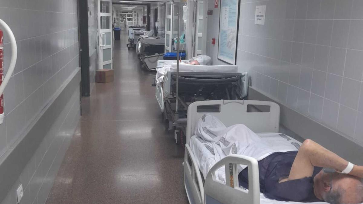 AboGuzmanCubero's tweet image. &quot;Es inhumano tener a una persona en Urgencias 24 horas en un sillón o en camas hacinadas sin intimidad&quot;
Desde el Hospital General de Valencia estudian convocar movilizaciones para reclamar más recursos.
epe.es/es/sanidad/202…