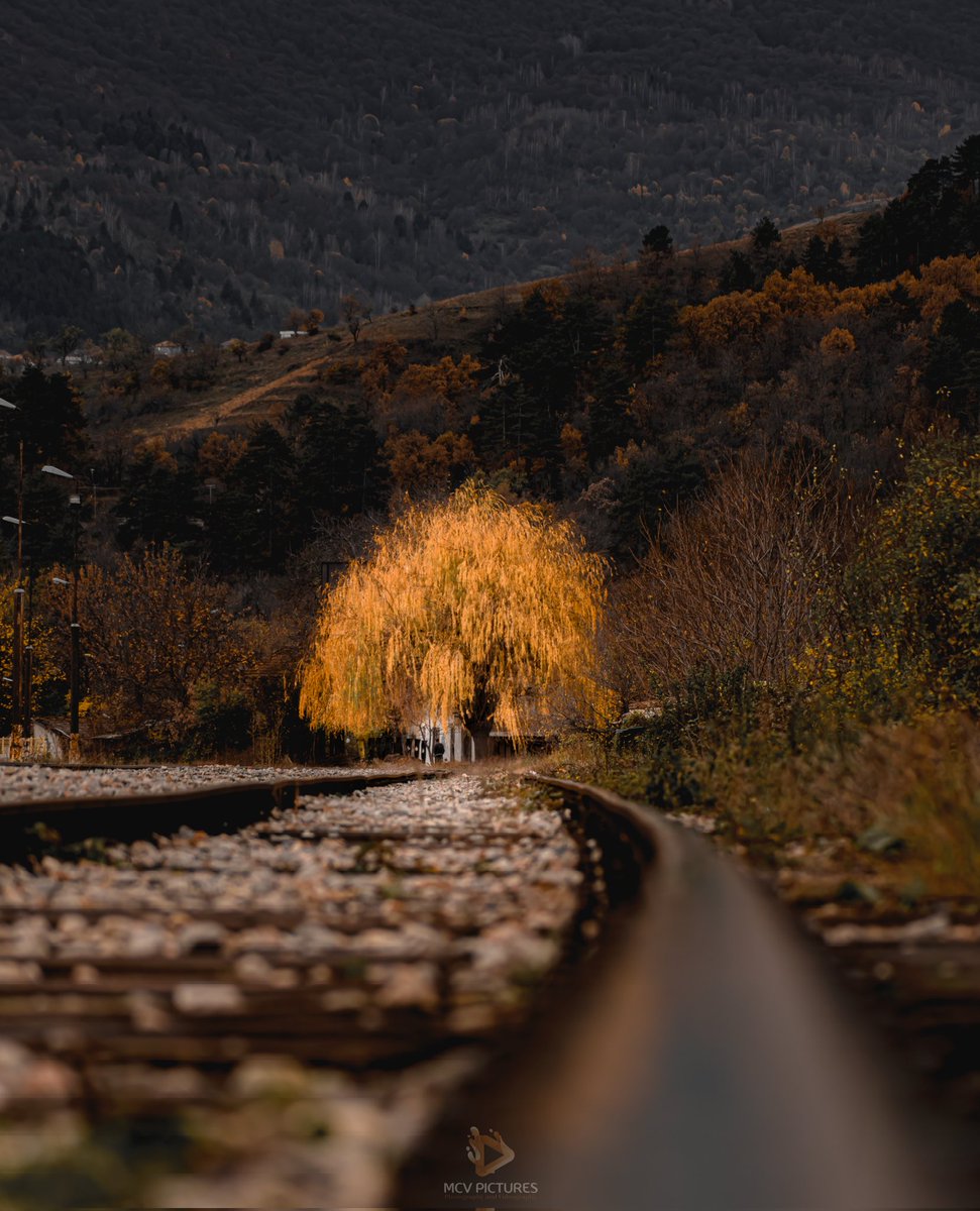 Возот не е стигнат па можев слободно да си легнам на шини и да направам неколку кадри!
#Скопје #Битола #Воз #ЗлатнаЕсен