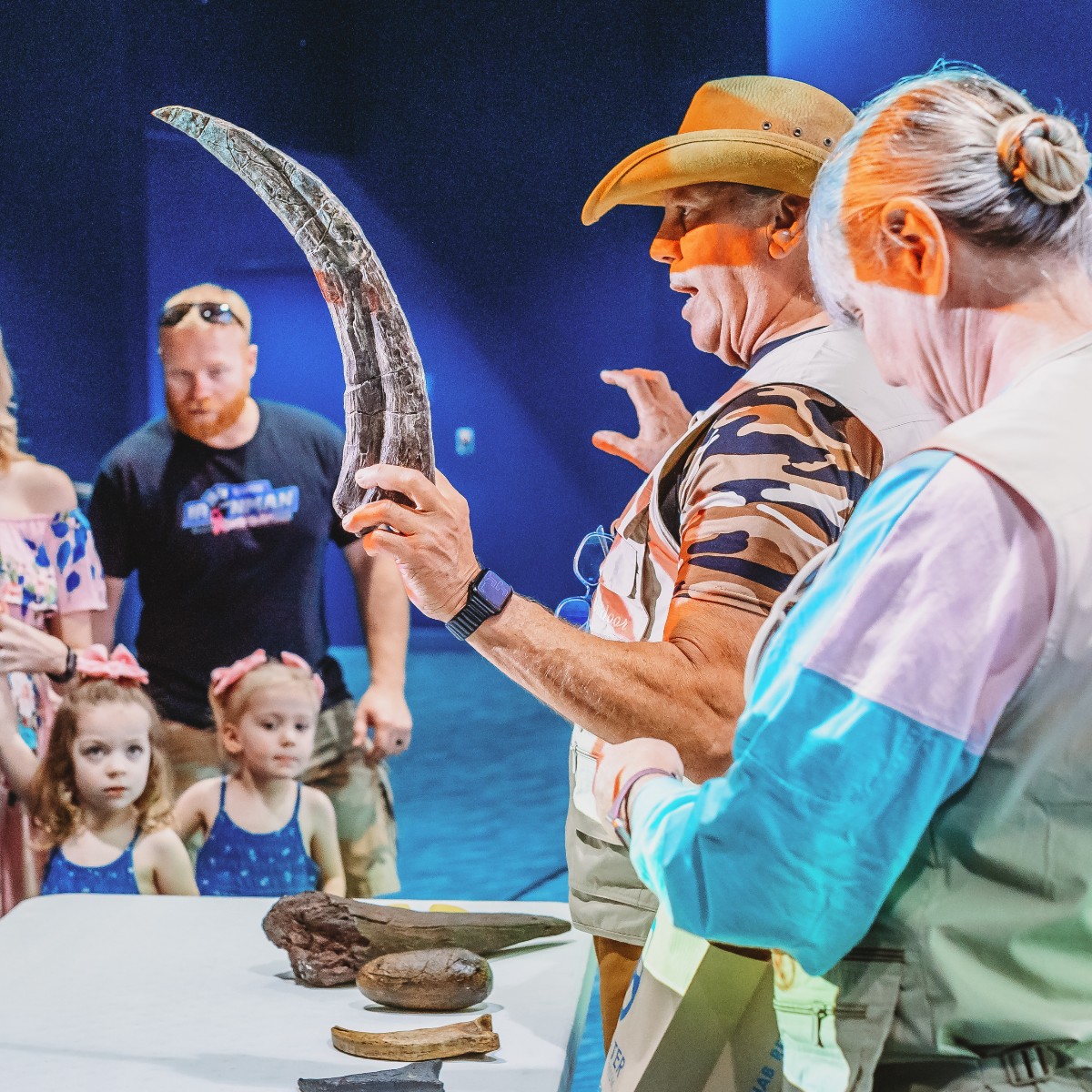 Clearwater Aquarium on Twitter "CMA is bringing you more Dino Rescue experiences this