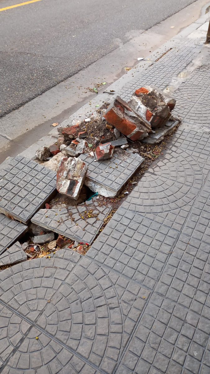 chelo_acosta's tweet photo. @gcba @horaciorlarreta @diegosantilli Ustedes sacaron un árbol hace 10 días y dejaron todo así. Ayer se cayó un nene y se lastimo. Saquen los escombros y arreglen la vereda. Vidt 2174 caba https://t.co/WtAzNcMEYY